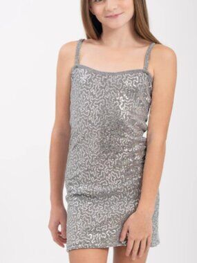 NWT Cheryl Creations silver sequin dress